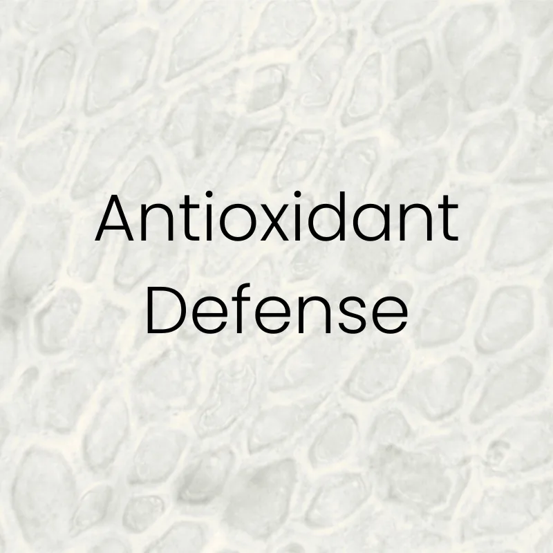 Antioxidants neutralizing free radicals.