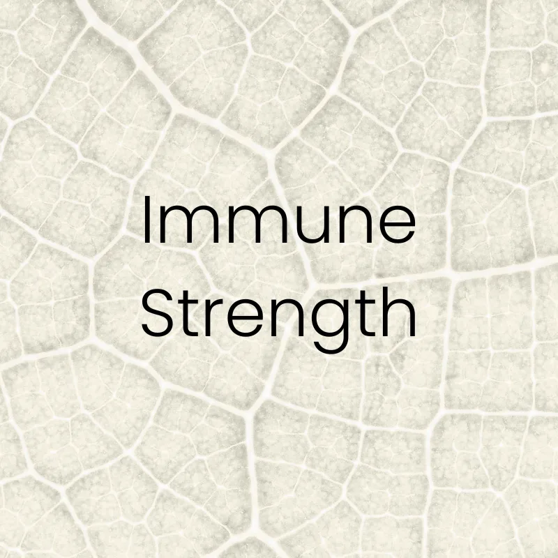 Immune system support through IV therapy.