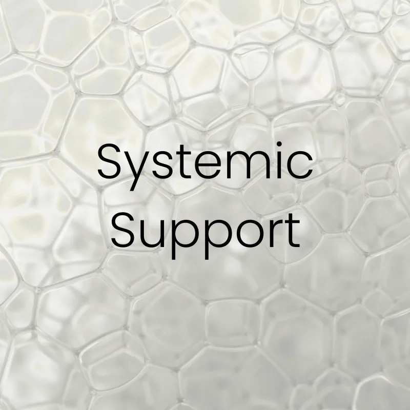 Full-body systemic support from IV nutrients.