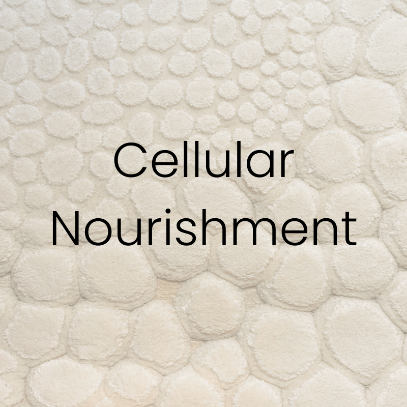 Gray textured background with the words ‘Cellular Nourishment’ centered in clean font. Featured on the Mind Rejuvenation IV Vitamin Infusion page to highlight cellular protection, immune resilience, and the benefits of antioxidant-rich therapy.