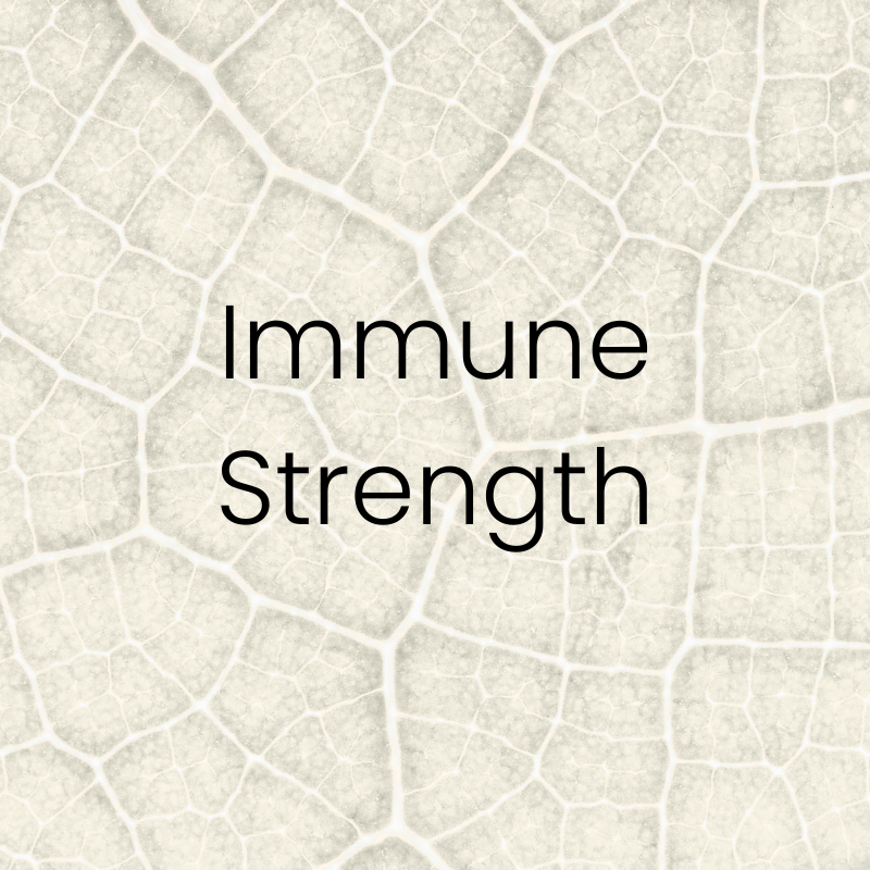 Gray textured background with the words ‘Immune Strength’ centered in clean font. Featured on the Mind Rejuvenation IV Vitamin Infusion page to highlight cellular protection, immune resilience, and the benefits of antioxidant-rich therapy.