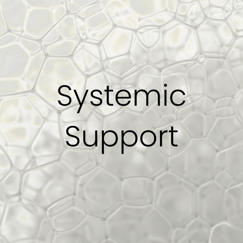 Close-up of translucent, bubble-like cellular pattern with the words ‘Systemic Support’ centered in modern font. Featured on the Mind Rejuvenation IV Vitamin Infusion page to represent whole-body wellness, interconnected healing, and foundational support for optimal health.