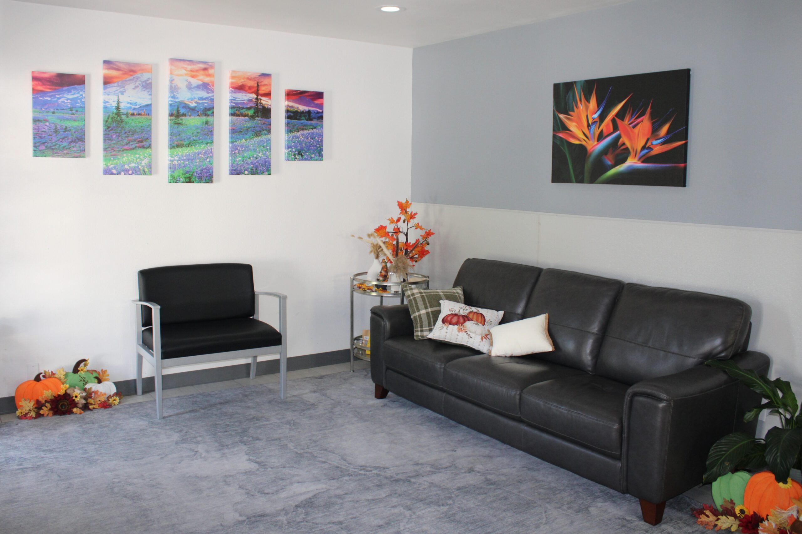 Cozy waiting area with a dark gray leather couch, decorative pillows, autumn-themed accents, and vibrant wall art. Featured on the Mind Rejuvenation Home page to reflect comfort, warmth, and a welcoming space for mental wellness.